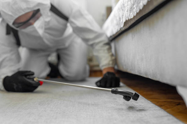 Professional Pest Control technician working in Payson, IL