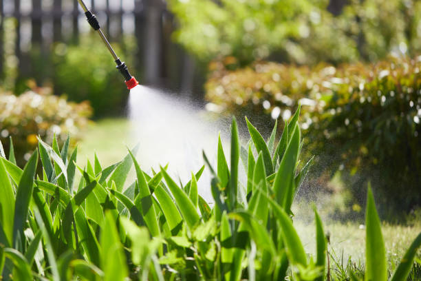 24/7 Emergency Pest Control experts in Payson, IL